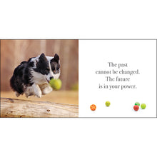 Load image into Gallery viewer, My Furever Friend New Puppy Dog Gift Basket Hamper Welcome Home Large