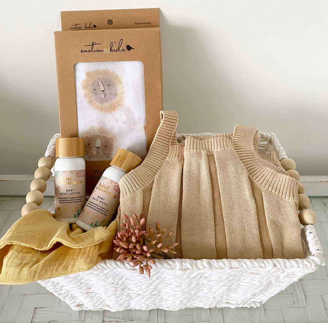 Baby Boy Baby Shower Hamper Cute Lion Gift Basket Medium