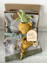 Load image into Gallery viewer, Baby Boy Cheeky Monkey &amp; Bear Set Baby Shower Hamper Gift Box
