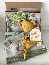 Load image into Gallery viewer, Baby Boy Cheeky Monkey &amp; Bear Set Baby Shower Hamper Gift Box

