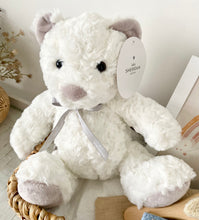 Load image into Gallery viewer, Sheridan Baby Teddy Baby Shower Hamper Gift Basket
