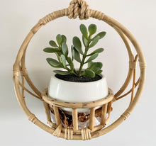 Load image into Gallery viewer, Palm Planter Gift Set Hanging Cane Planter Hamper All Occasions Large
